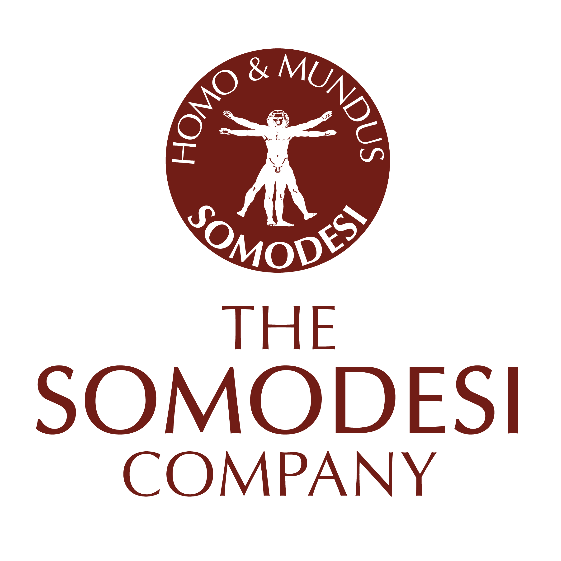 somodesi company logo 01